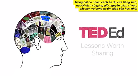 TED vn poster 4