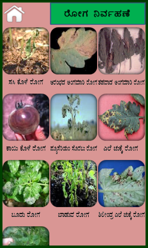 tomato-kannada-android-apps-on-google-play