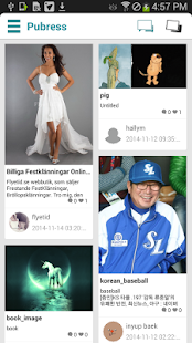 Pubress Screenshots 1