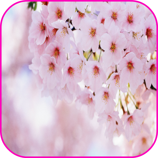 Spring Flowers Wallpaper+Frame 個人化 App LOGO-APP開箱王
