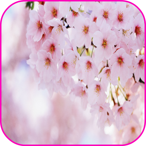 Spring Flowers Wallpaper+Frame LOGO-APP點子