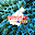 Kalimantan Kini Download on Windows