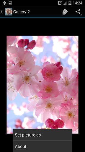 免費下載生活APP|Cherry Blossom app開箱文|APP開箱王