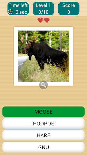 【免費益智App】Guess The Animal-APP點子