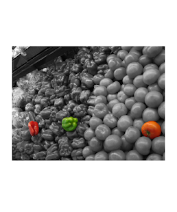 Monochrome Color（单色・照片效果）(圖8)-速報App