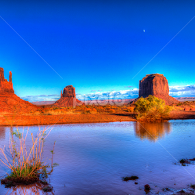 Wet Mittens by Jim Moon - Landscapes Deserts