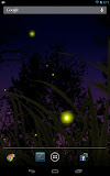Fireflies Live Wallpaper