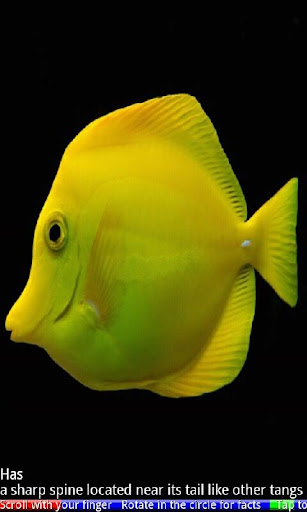 免費下載教育APP|Marine Aquarium Fish 2 FREE app開箱文|APP開箱王