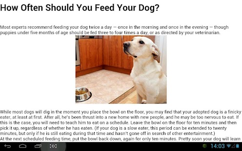 Free Our Pet World APK