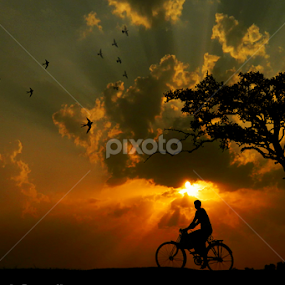 Home bound by Abhi Ghosh - People Street & Candids