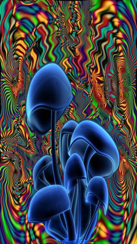 Shrooms Live Wallpaper HD Screen 2