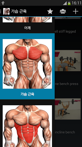 보디 빌딩 운동