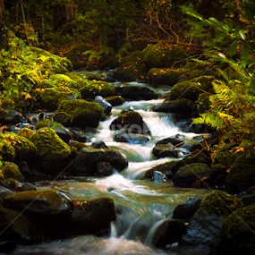 River by Lisa Davies - Nature Up Close Water