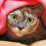 Hideaway by Mia Ikonen -  