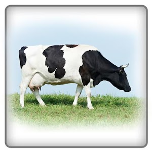 Farm Sounds 1.01