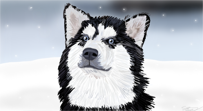 Husky