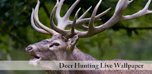 Deer Hunting Live Wallpaper APK