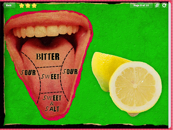 Human Anatomy for Kids - Taste poster 1