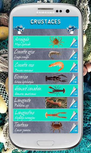 【免費生活App】Fish Infos Plus-APP點子