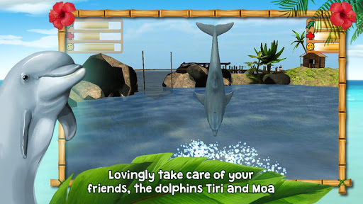 【免費家庭片App】Dolphins of the Caribbean-APP點子