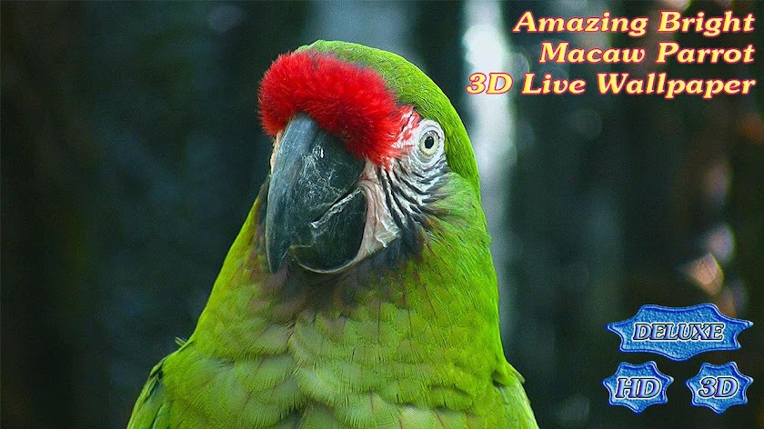 Amazing Bright Macaw Parrot Screen 2