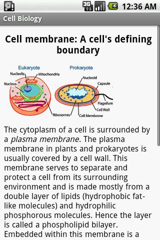 Cell Biology Study Guide Screen 2