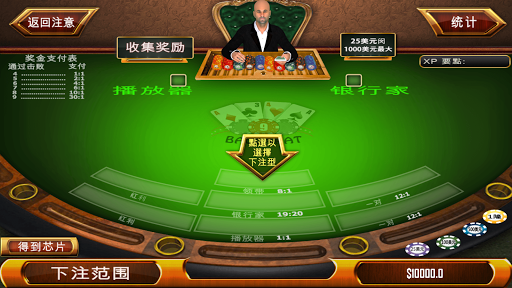 百家乐 - 赌场风格