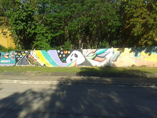 Mural Oso Panda