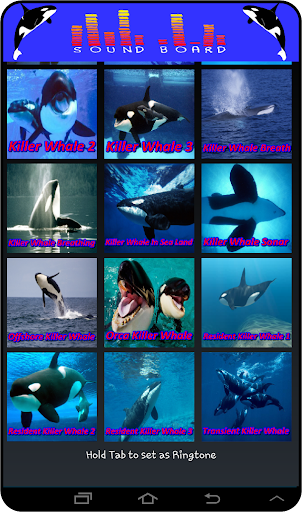 Whale Orca Soundboard