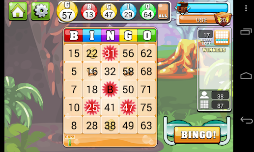 Free Bingo Casino