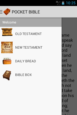 POCKET BIBLE