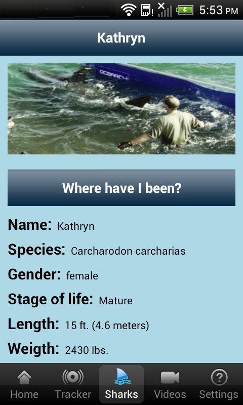 Global Shark Tracker Screen 3