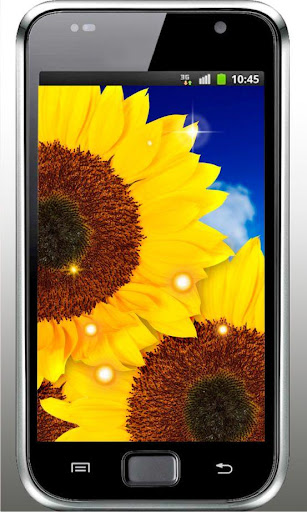 Sunflower Free live wallpaper