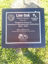 Live Oak in Honor of Louisiana's Bicentennial 