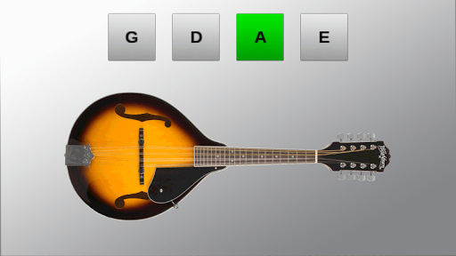 Mandolin Tuner