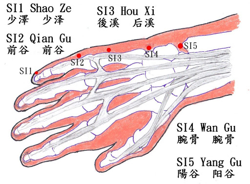 子午灵龟