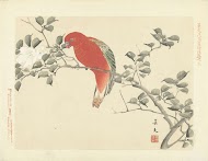 Rode papegaai op tak met witte bloemen