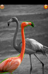 Color Animals 4 Doodle Scratch(圖4)-速報App