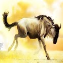 3D Bull 2 logo