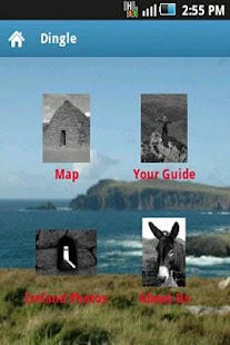 Free Dingle APK