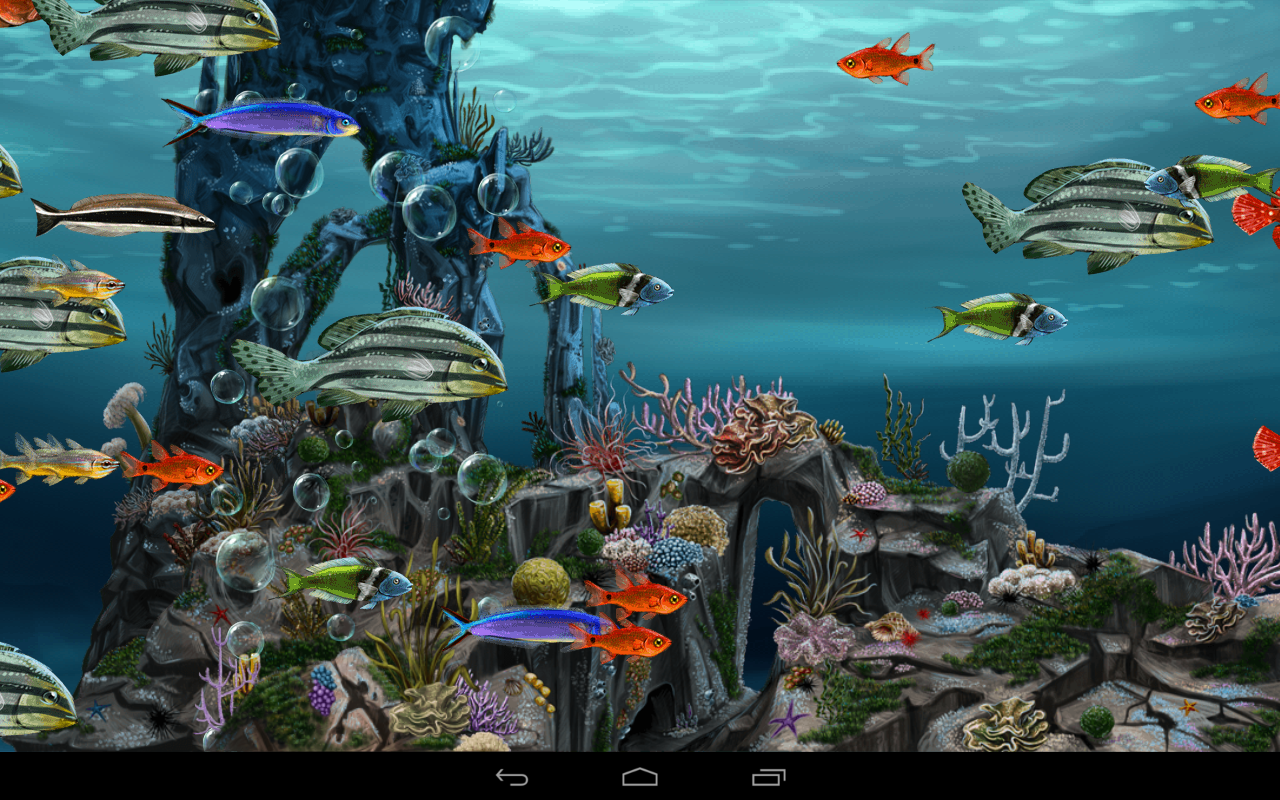  Wallpaper  Animasi  3d  Aquarium Bergerak Terlengkap Dan 