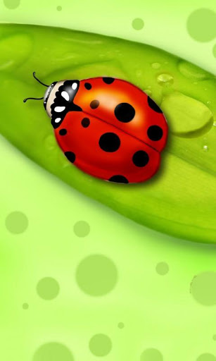 【免費個人化App】Ladybug Live Wallpaper HD-APP點子