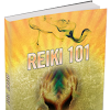 Reiki 101