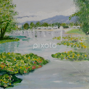 lake Jarun  by Dubravka Bednaršek - Painting All Painting