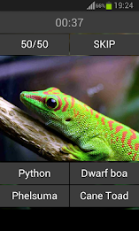 Guess the reptile poster 3