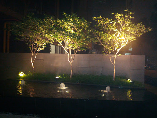 Trees and Fountains