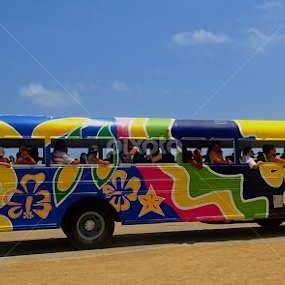 Tour Bus, Aruba by Donald Henninger - Novices Only Objects & Still Life