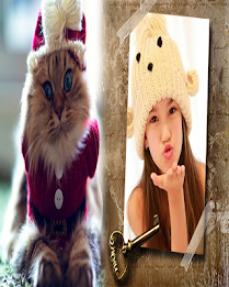 ảnh khung mèo pic khung poster 3