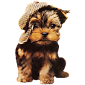 Puppy Widget logo