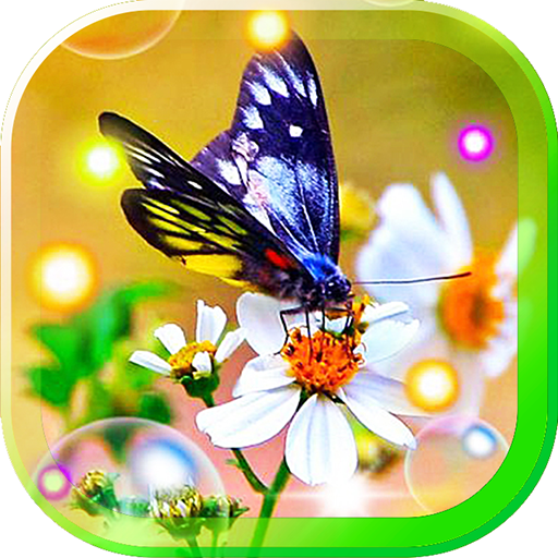 Butterfly Cool live wallpaper 個人化 App LOGO-APP開箱王